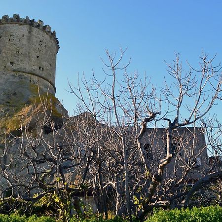 L'Agrumeto Forio  Bagian luar foto